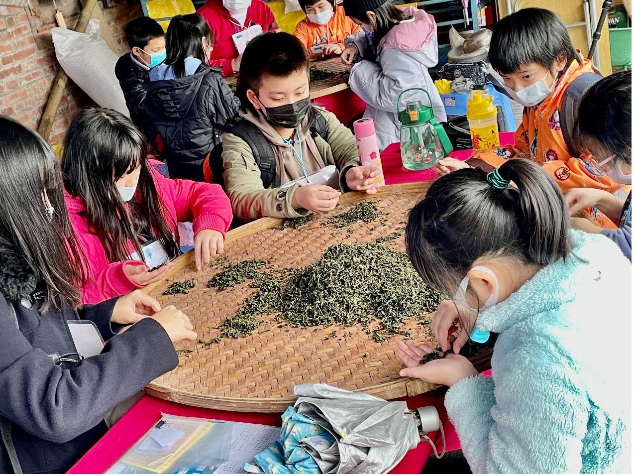 📷 政治大學「貓空採茶隊」將茶文化融入英文教學